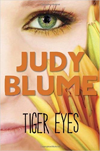 tiger eyes judy blume book summary